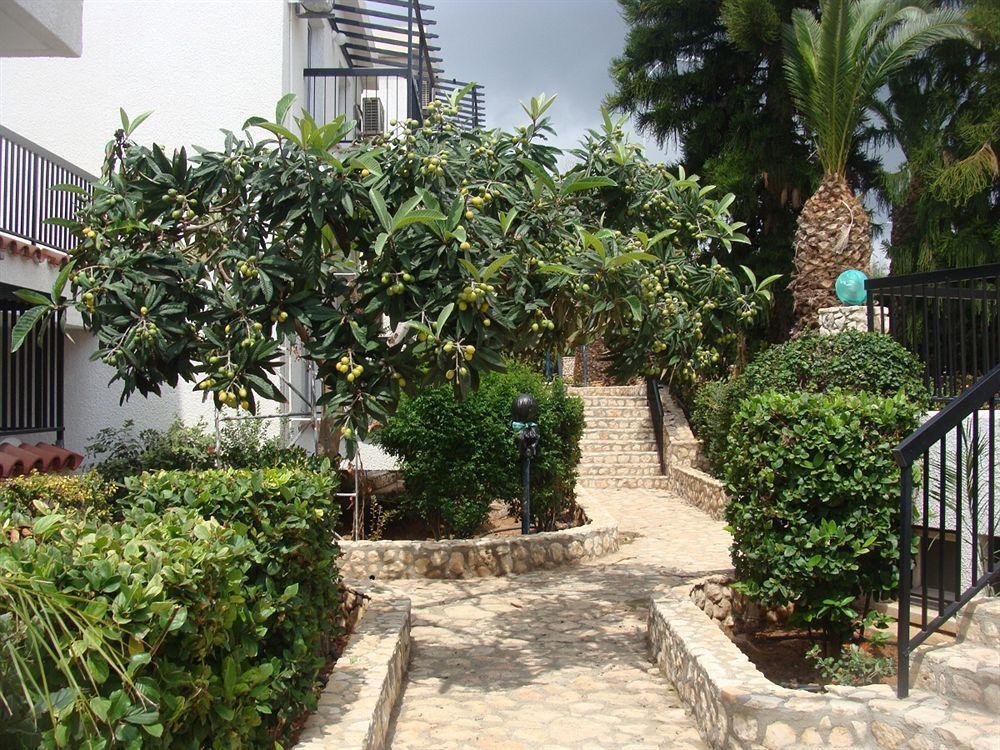 أيا نابا Aphelandra Hotel Apartments المظهر الخارجي الصورة