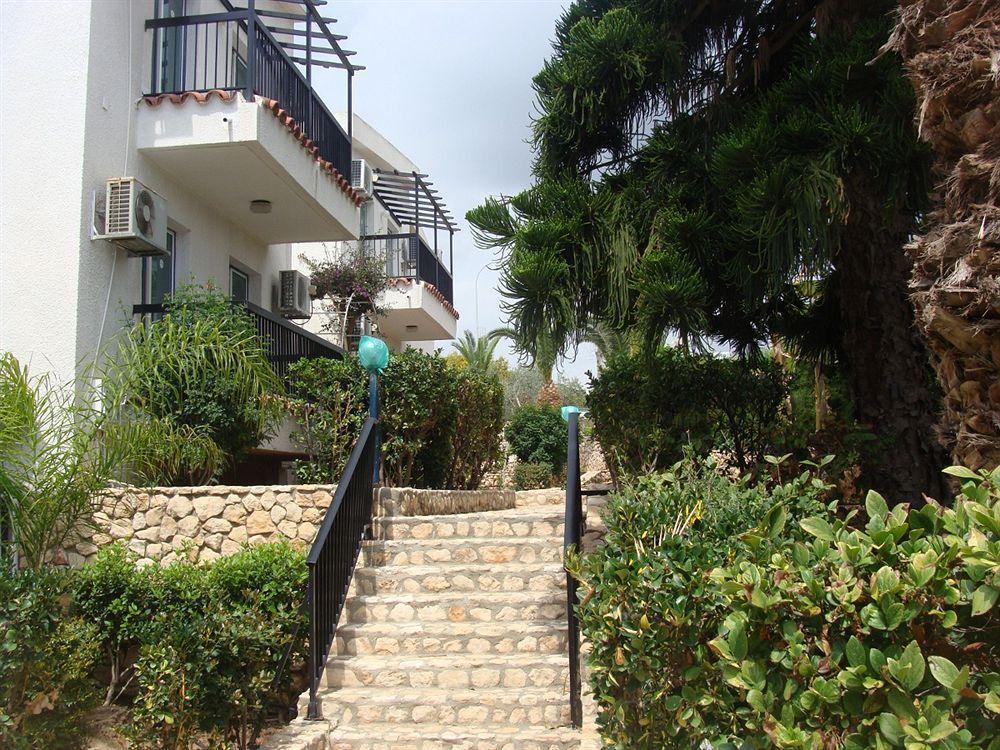 أيا نابا Aphelandra Hotel Apartments المظهر الخارجي الصورة